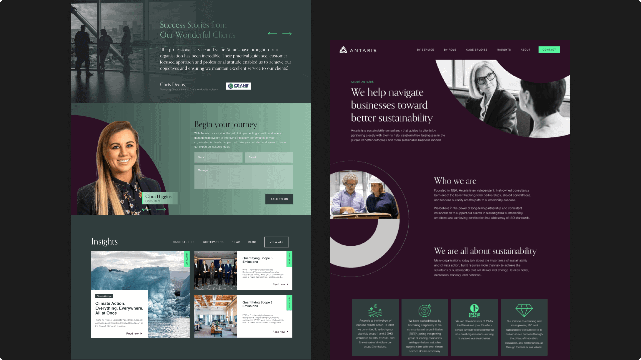 Antaris Consulting, Strategy